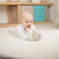 Bigjigs Baby Bear Rattle Active Ball