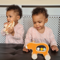 Bigjigs Toys Hedgehog on wheels