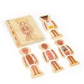 Bigjigs Toys Wooden Puzzle Anatomy Girl