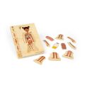 Bigjigs Toys Wooden Puzzle Anatomy Girl