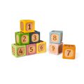 Bigjigs Toys Sorting Blocks
