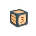 Bigjigs Toys Sorting Blocks