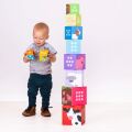 Bigjigs Toys Didactic Dice Farm