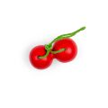Bigjigs Toys Cherries 1 pair