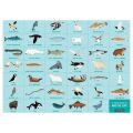 Mudpuppy Puzzle Fold and Search Life in the Arctic 64 pieces