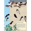 Chronicle Books Activity Book with Stickers my nature Birds of the World