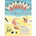 Chronicle Books Activity Book with Stickers my nature Birds of the World