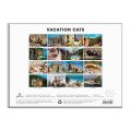Galison Puzzle Cats on holiday 1500 pieces
