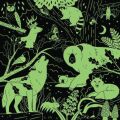 Mudpuppy Puzzle Forest animals - glow in the dark 500 pieces