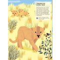 Chronicle Books Activity Book with Stickers Animals of the Savannah