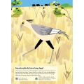 Chronicle Books Activity Book with Stickers Animals of the Savannah