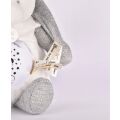 Doudou Gift Set Musical Night Light with Projection Grey Teddy Bear