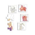 Larsen Educational Puzzle Our Body 35 pieces