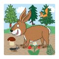Dino Puzzle Animals: where they live