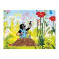 Dino Mole in trousers 24 pieces