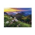Dino Puzzle Little Fatra 500 pieces