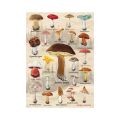 Dino Puzzle Mushrooms collage 1000 pieces