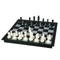 Dino Magnetic Chess