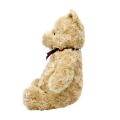 Rainbow Plush Winnie the Pooh from the Hundred Acre Wood