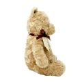 Rainbow Plush Winnie the Pooh from the Hundred Acre Wood