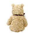 Rainbow Plush Winnie the Pooh from the Hundred Acre Wood