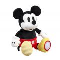 Rainbow Plush Mickey Mouse Activity