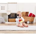 Rainbow Plush Mickey Mouse Activity