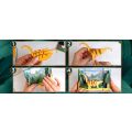 EscapeWelt 3D Wooden Puzzle Brontosaurus