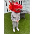 Fiesta Crafts Creative set 3D mask Red dragon