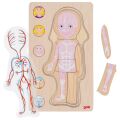 Goki Wooden Puzzle Human Body - Girl