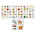Pygmalino Educational card games 1