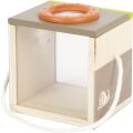 small foot Discover insect observation box