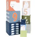 small foot Stacking Blocks Arctic