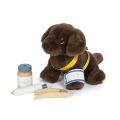 small foot Plush dog with care set