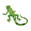 Mojo Iguana