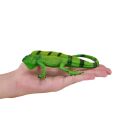 Mojo Iguana