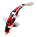 Mojo Kapr koi showa sanshoku
