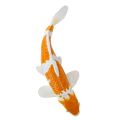 Mojo Carp koi ochiba shigure