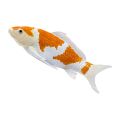 Mojo Carp koi ochiba shigure
