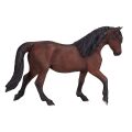 Mojo Horse morgan brown