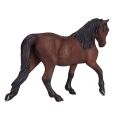 Mojo Horse morgan brown