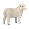 Mojo Sheep romney marsh