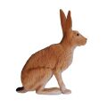 Mojo Hare sitting