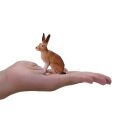 Mojo Hare sitting