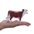 Mojo Hereford cow