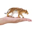 Mojo Tiger on the hunt