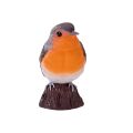 Mojo Common Redpoll