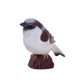 Mojo House Sparrow