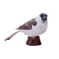 Mojo House Sparrow