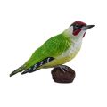Mojo Green Woodpecker